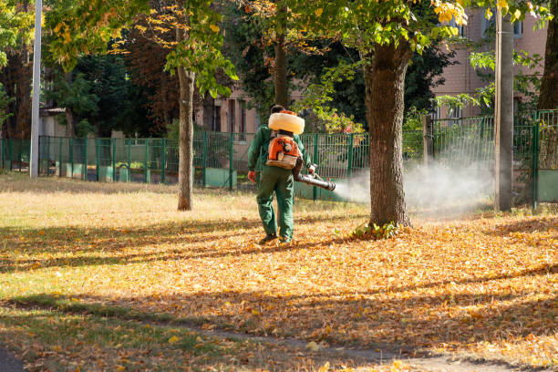 Best Pest Control for Homes  in Baker City, OR